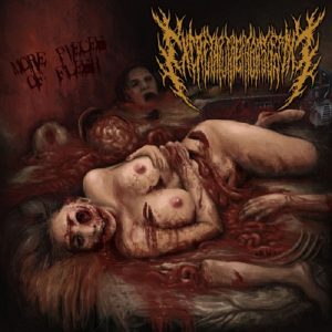 Excretaputreparasiforme – More Pieces of Flesh